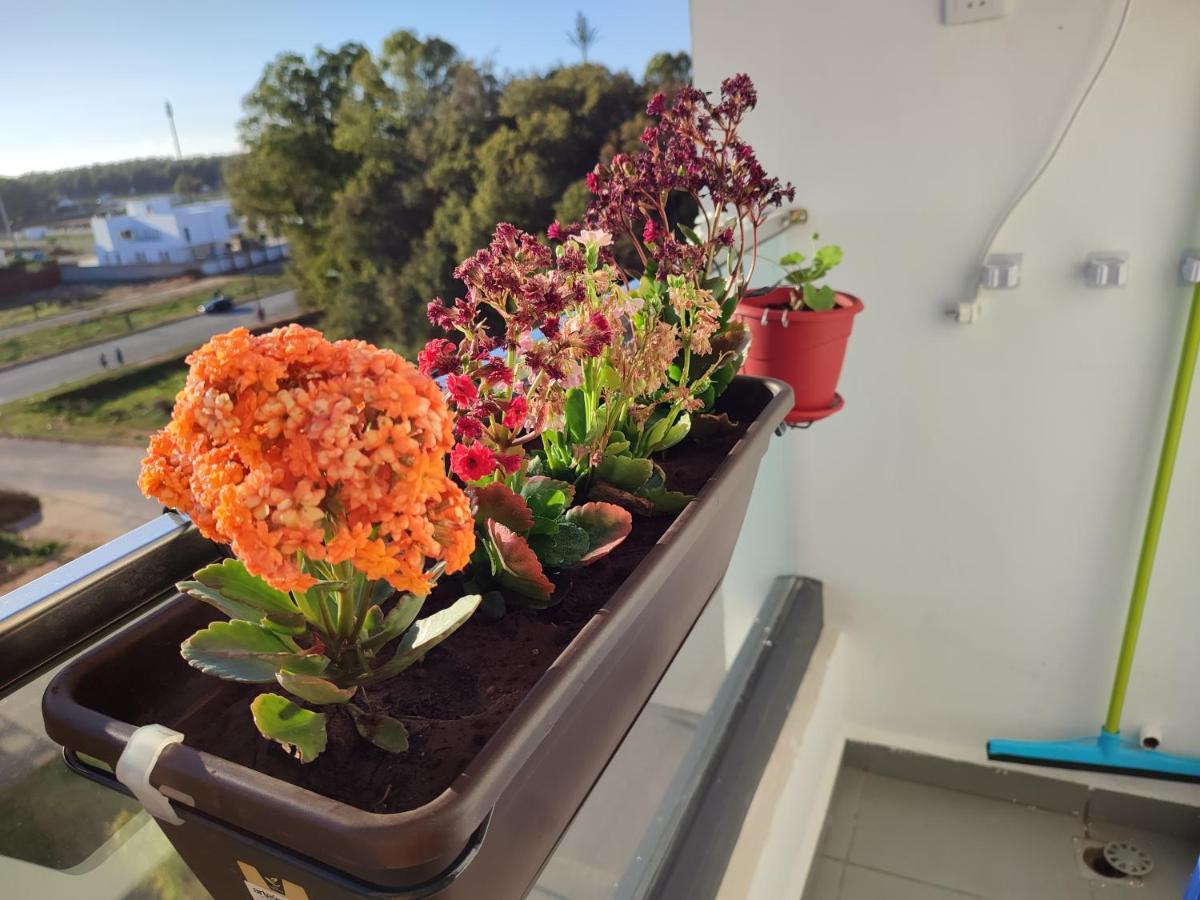 L'Orchidee De Kenitra Daire Dış mekan fotoğraf